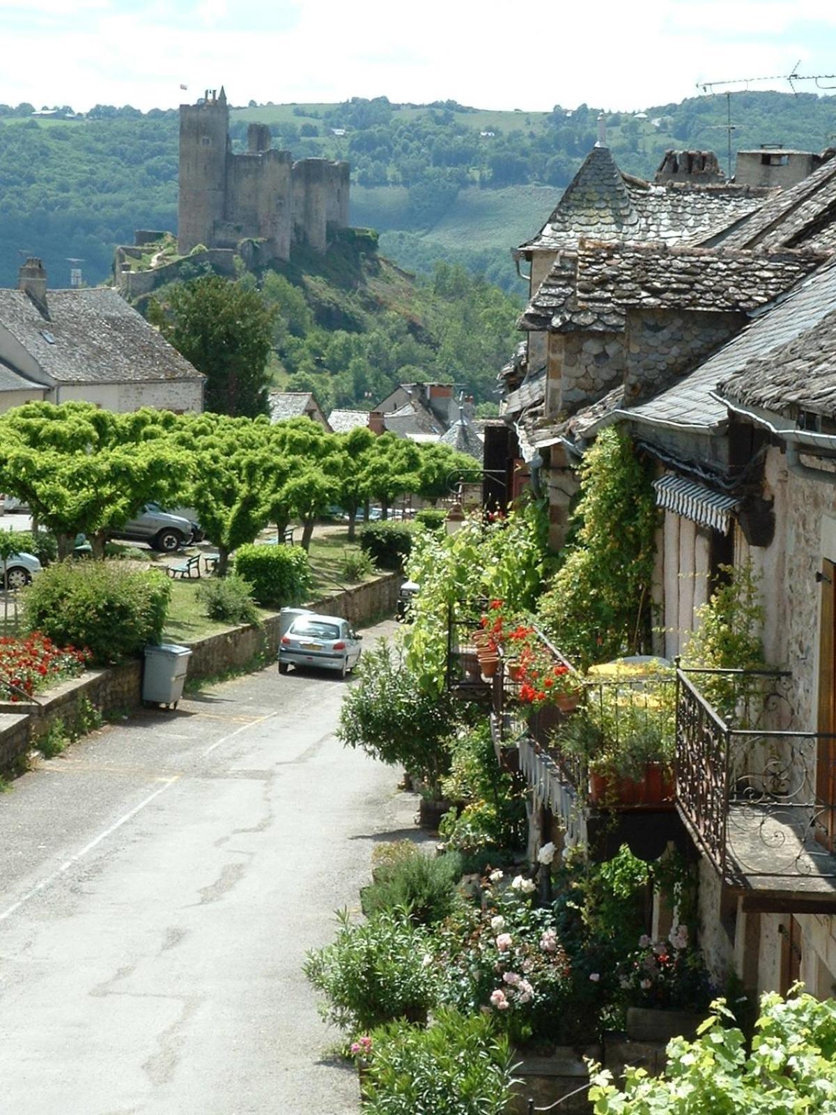 L'Oustal Del Barry Najac Exterior foto